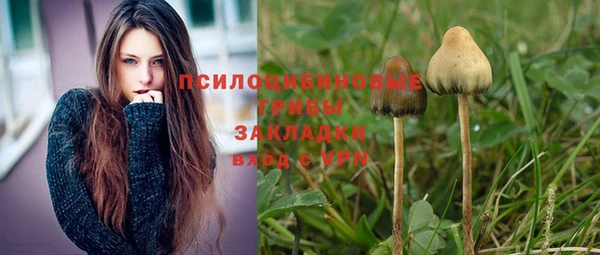 МДМА Алексеевка