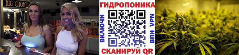 Марихуана сатива  цена наркотик  Мензелинск 